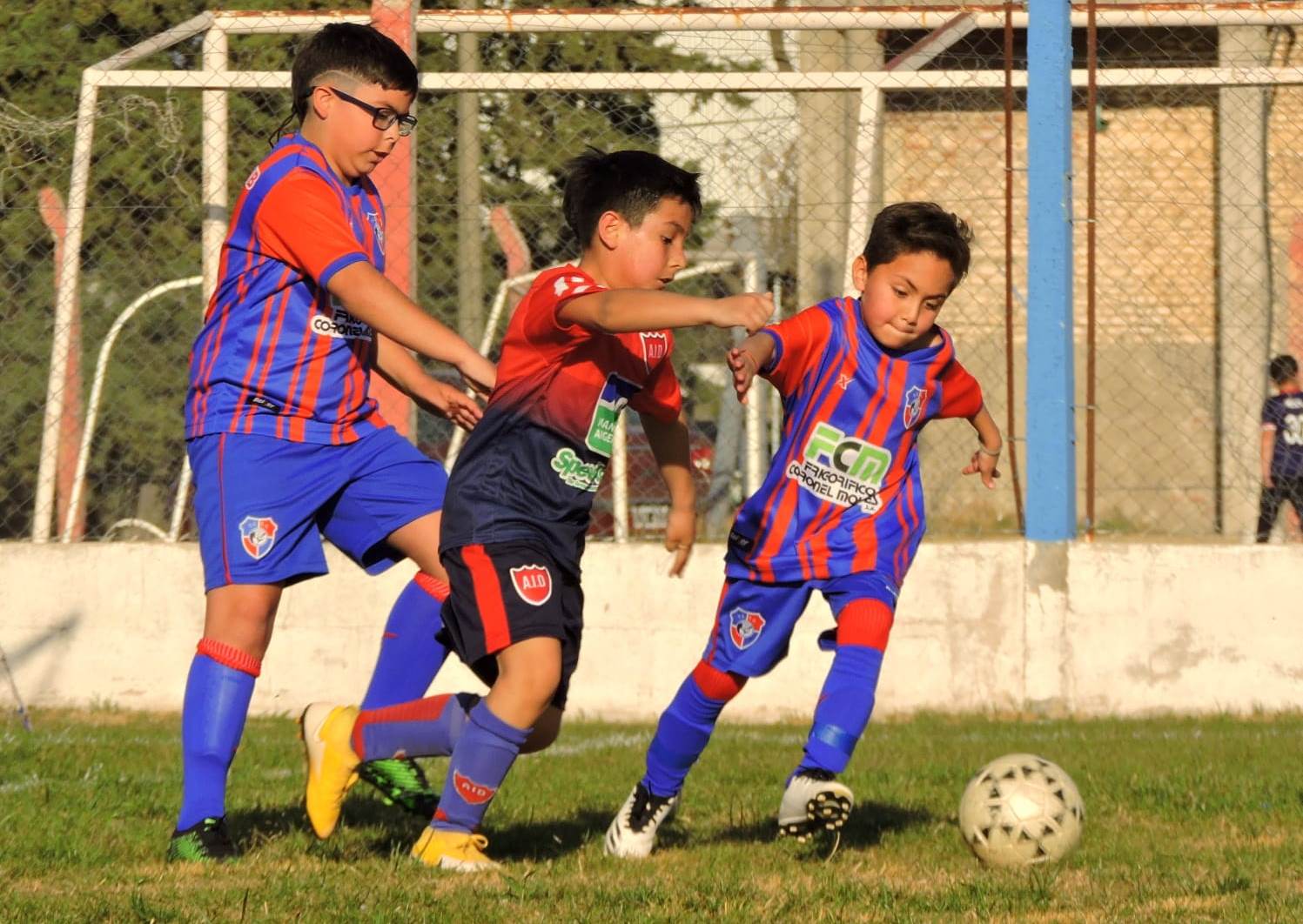 Así están las posiciones en infantojuveniles.