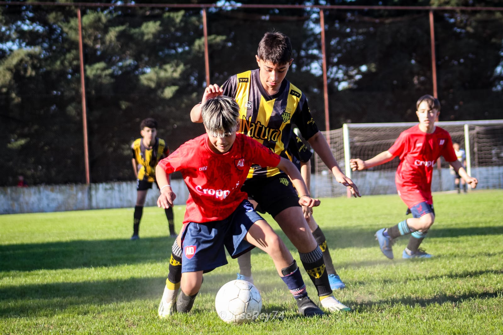 Se jugó este fin de semana la vigesimoprimera jornada de los torneos Infantiles y Juveniles masculinos de la Liga Regional de Río Cuarto.