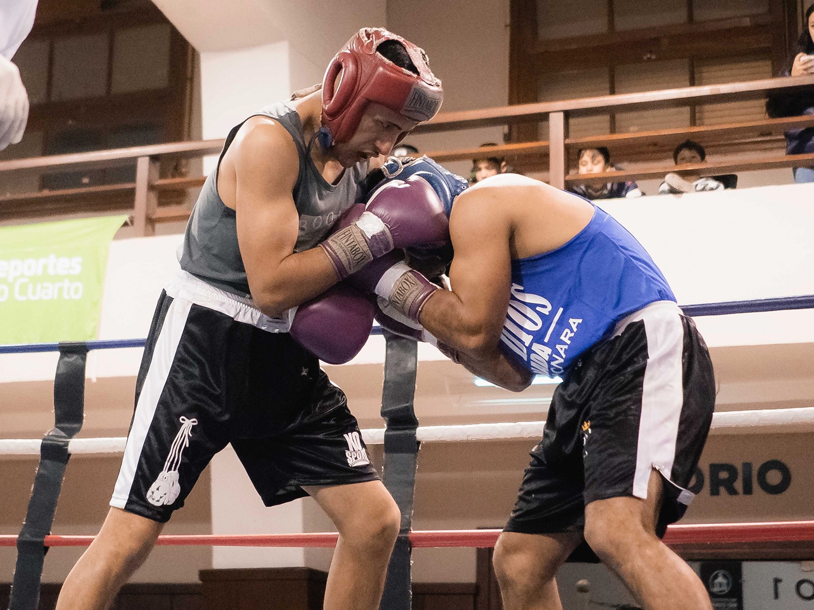 KO11: Se viene otra velada de boxeo promocional en el Centro 11.