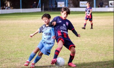 Con jornada desdoblada se disputó entre viernes y sábado la decimoquinta fecha de los torneos Infantiles y Juveniles masculinos de Liga Regional. Repasá todos los resultados.