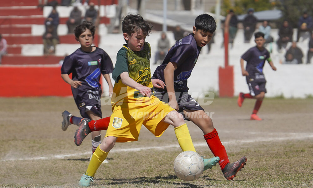 Así se juegan las finales de inferiores.