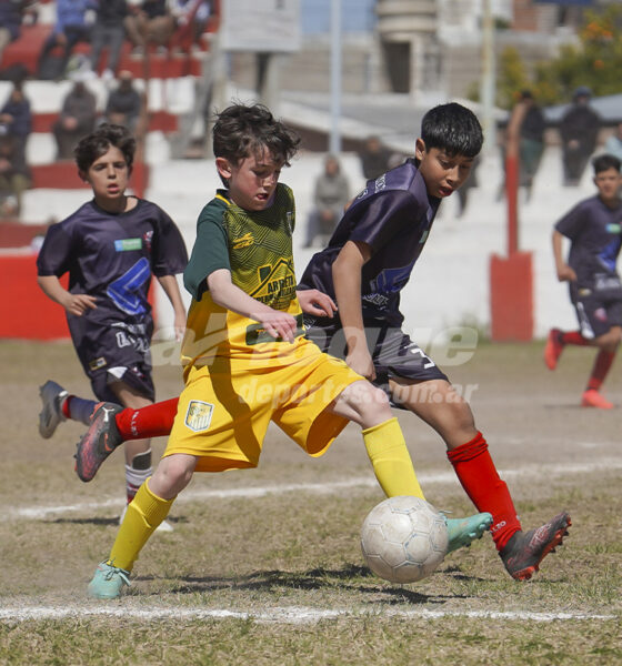 Así se juegan las finales de inferiores.