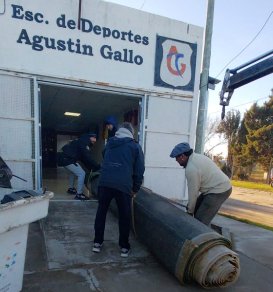 Agustín Gallo acelera su sueño: en apenas 12 días duplicó las parcelas vendidas para su cancha sintética.